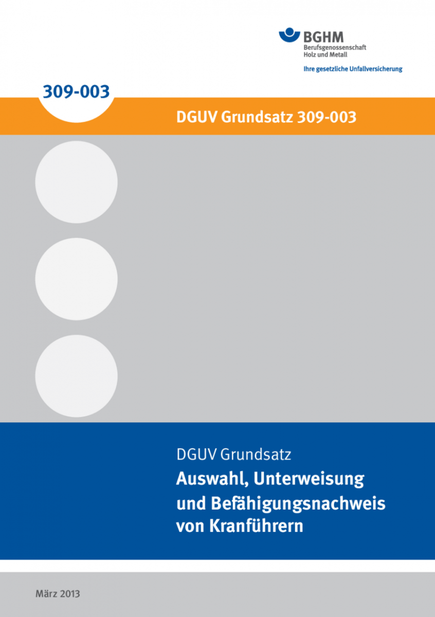 DGUV Grundsatz 309-003 Cover